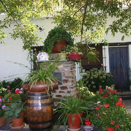 Apartamentos Y Casas Rurales Las Terrazas De La Alpujarra Бубион Экстерьер фото